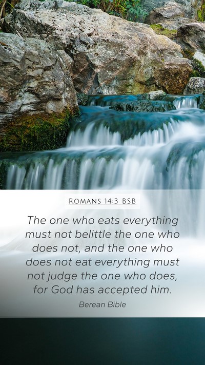 Romans 14:3 BSB Bible Verse Image