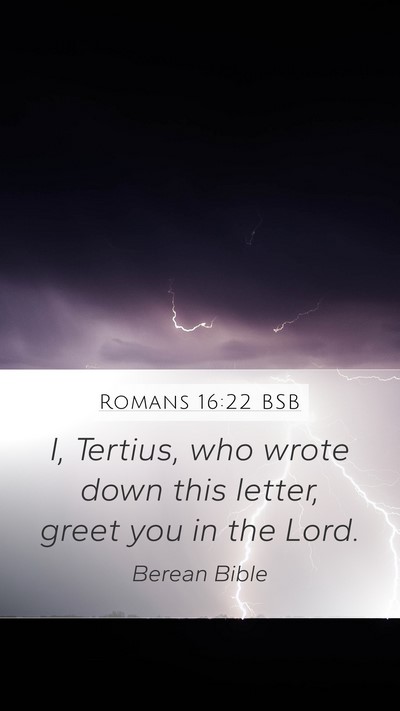 Romans 16:22 BSB Bible Verse Image