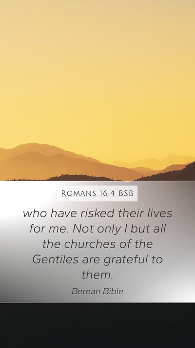 Romans 16:4 BSB Bible Verse Image