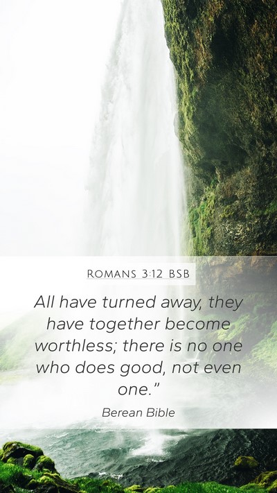 Romans 3:12 BSB Bible Verse Image