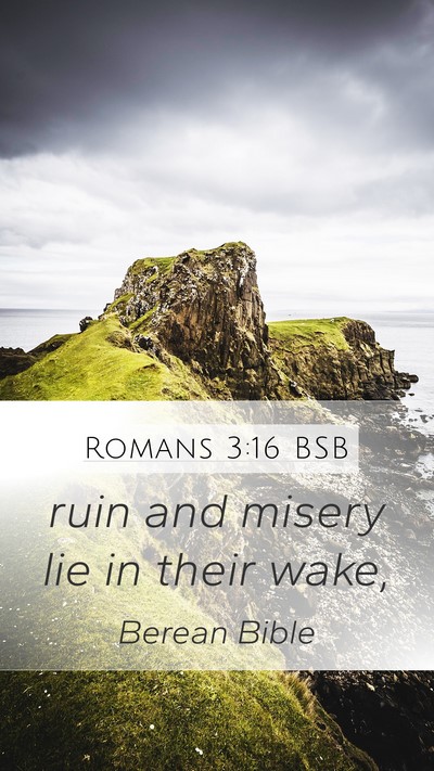 Romans 3:16 BSB Bible Verse Image