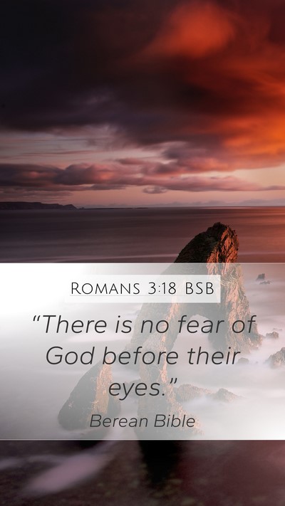 Romans 3:18 BSB Bible Verse Image