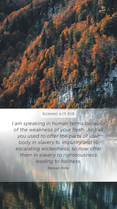 Romans 6:19 BSB Bible Verse Image