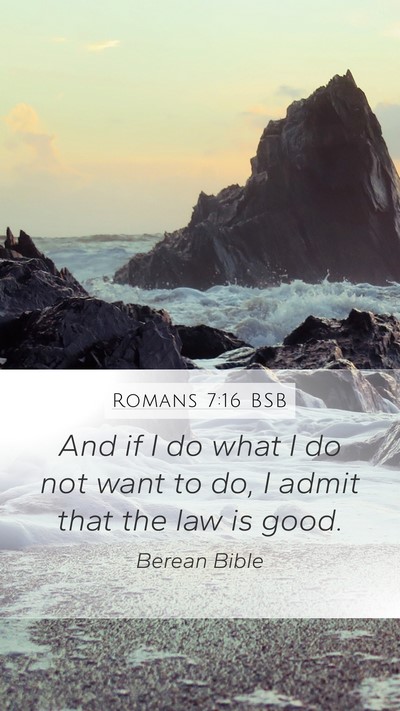 Romans 7:16 BSB Bible Verse Image