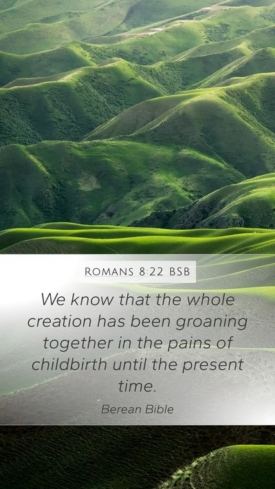 Romans 8:22 BSB Bible Verse Image