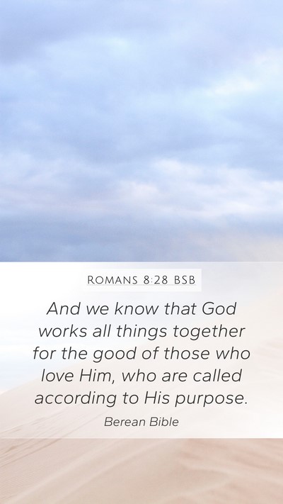 Romans 8:28 BSB Bible Verse Image