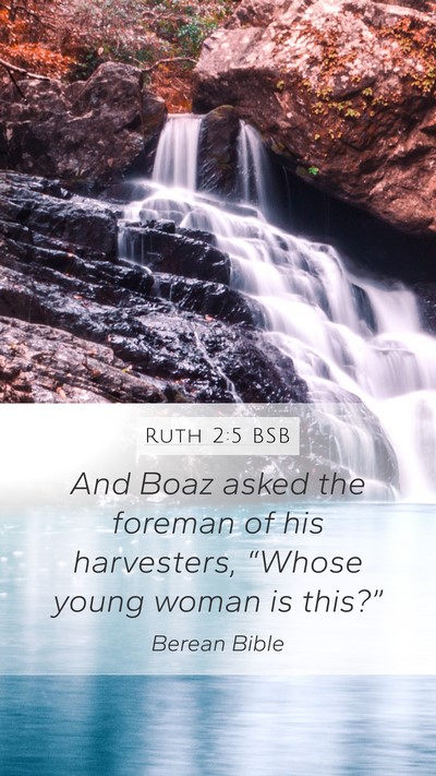 Ruth 2:5 BSB Mobile Phone Wallpaper - And Boaz asked the foreman of his harvesters, - Mobile Bible Verse Wallpaper
