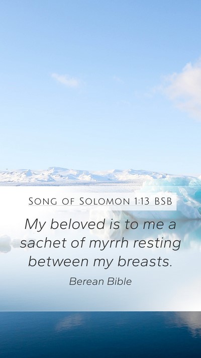 Song of Solomon 1:13 BSB Bible Verse Image