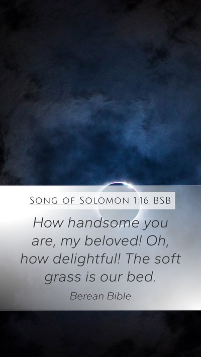 Song of Solomon 1:16 BSB Bible Verse Image