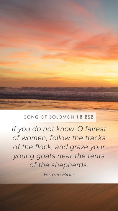 Song of Solomon 1:8 BSB Bible Verse Image