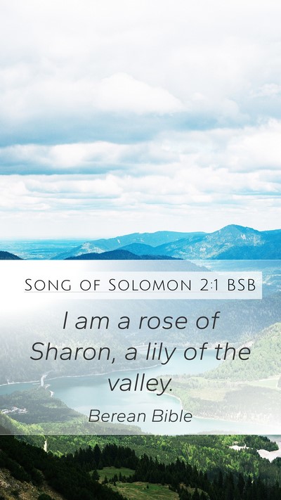 Song of Solomon 2:1 BSB Bible Verse Image