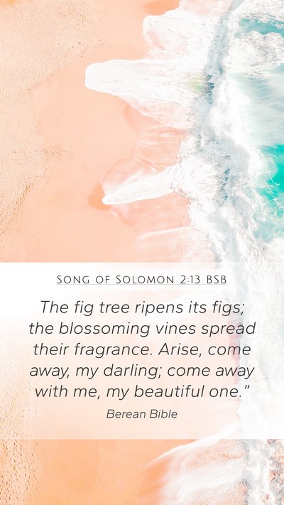 Song of Solomon 2:13 BSB Bible Verse Image