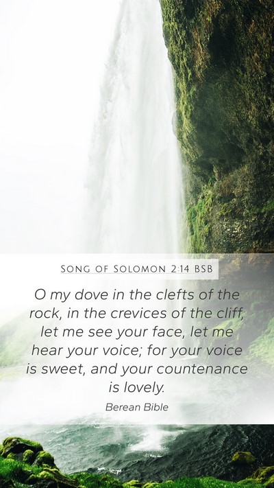 Song of Solomon 2:14 BSB Bible Verse Image
