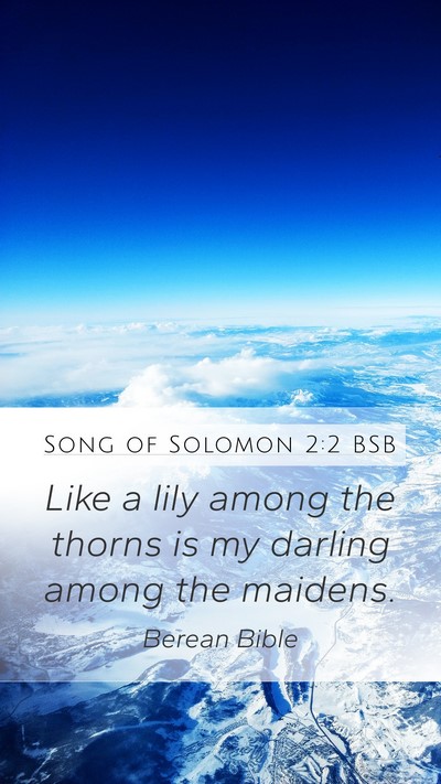Song of Solomon 2:2 BSB Bible Verse Image