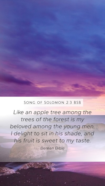 Song of Solomon 2:3 BSB Bible Verse Image