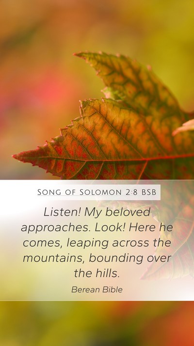 Song of Solomon 2:8 BSB Bible Verse Image