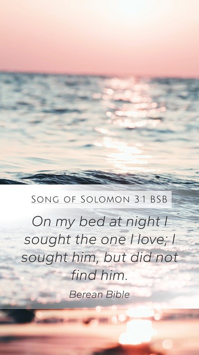 Song of Solomon 3:1 BSB Bible Verse Image