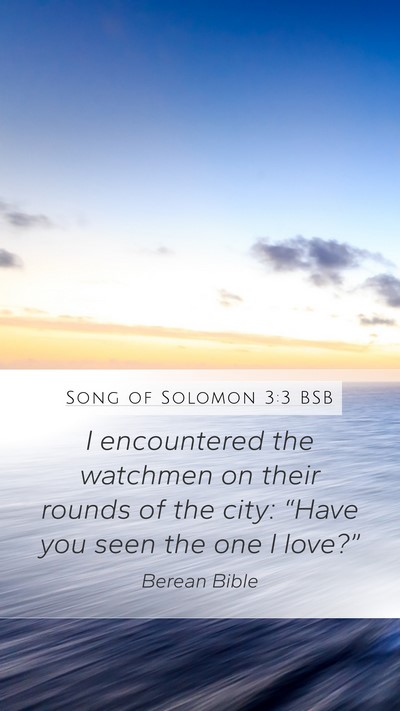 Song of Solomon 3:3 BSB Mobile Phone Wallpaper - I encountered the watchmen on their rounds of the - Mobile Bible Verse Wallpaper