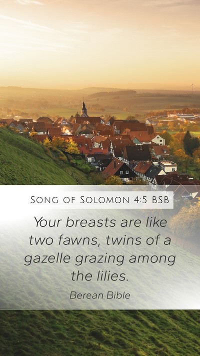 Song of Solomon 4:5 BSB Bible Verse Image