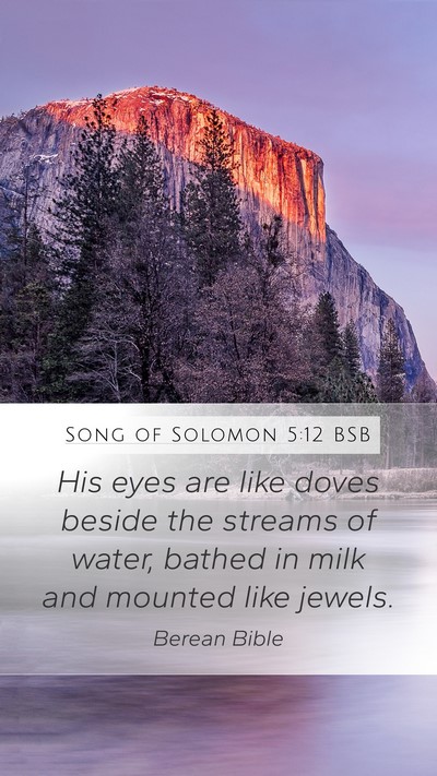 Song of Solomon 5:12 BSB Bible Verse Image
