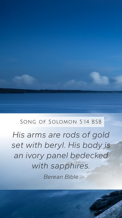 Song of Solomon 5:14 BSB Bible Verse Image