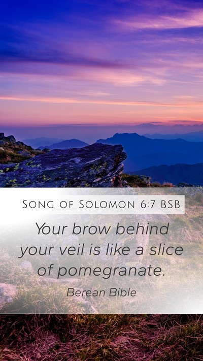 Song of Solomon 6:7 BSB Bible Verse Image