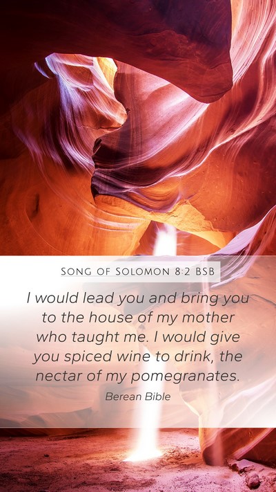 Song of Solomon 8:2 BSB Bible Verse Image