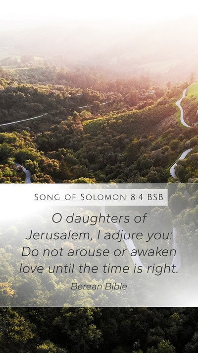 Song of Solomon 8:4 BSB Bible Verse Image
