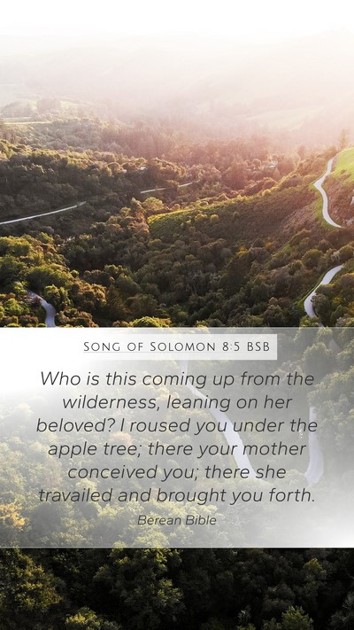 Song of Solomon 8:5 BSB Mobile Phone Wallpaper - Who is this coming up from the wilderness, - Mobile Bible Verse Wallpaper