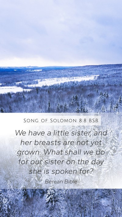 Song of Solomon 8:8 BSB Bible Verse Image