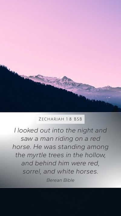 Zechariah 1:8 BSB Bible Verse Image