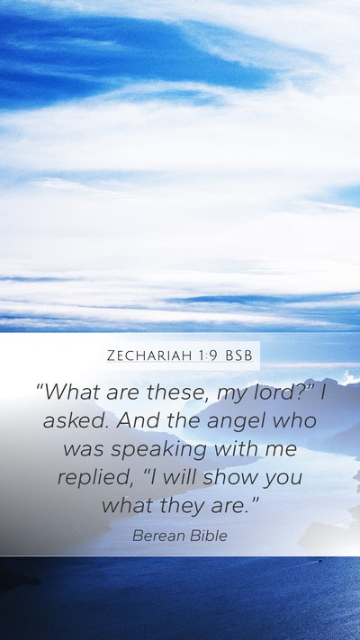 Zechariah 1:9 BSB Bible Verse Image