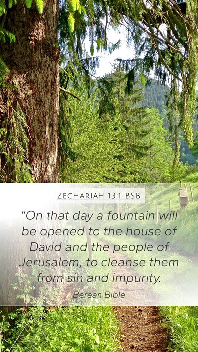 Zechariah 13:1 BSB Bible Verse Image
