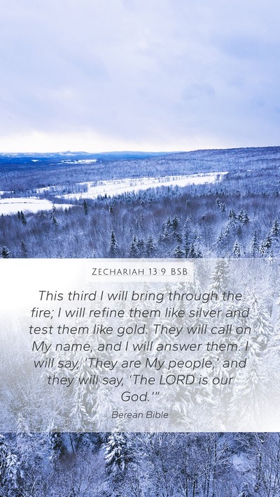 Zechariah 13:9 BSB Bible Verse Image
