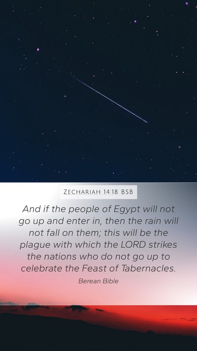 Zechariah 14:18 BSB Bible Verse Image