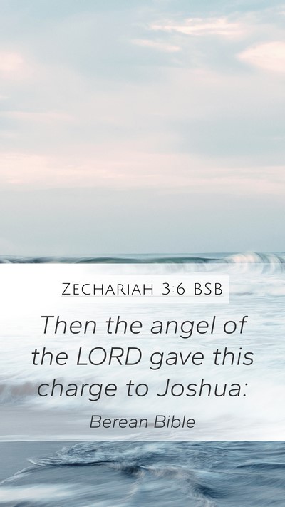 Zechariah 3:6 BSB Bible Verse Image