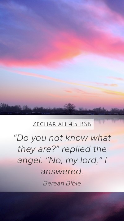 Zechariah 4:5 BSB Bible Verse Image