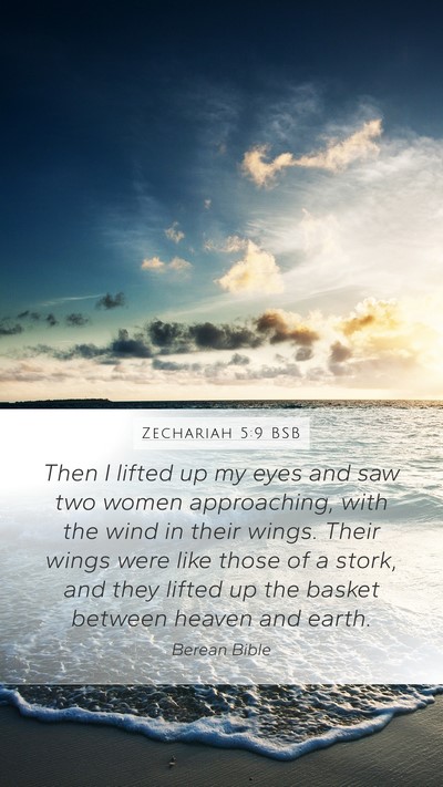 Zechariah 5:9 BSB Bible Verse Image