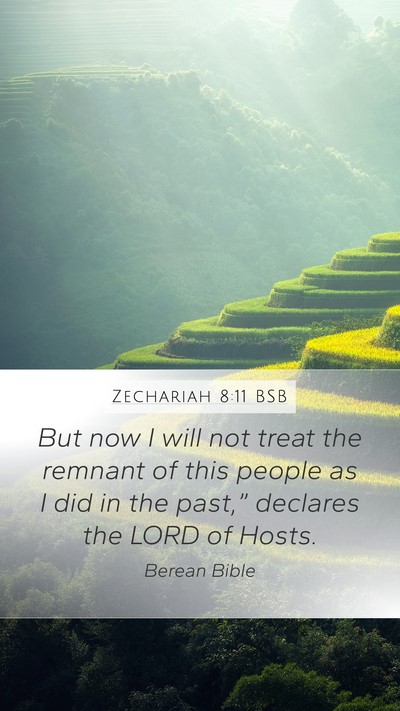 Zechariah 8:11 BSB Bible Verse Image