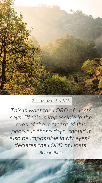 Zechariah 8:6 BSB Bible Verse Image