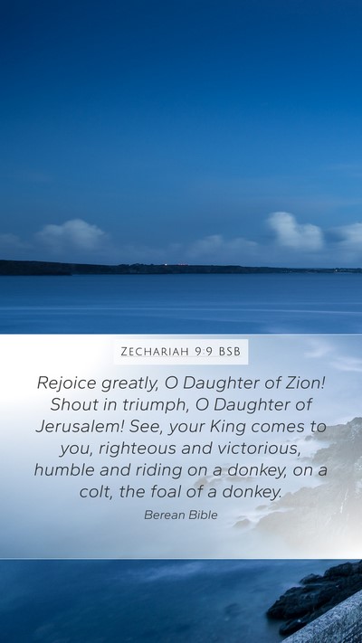 Zechariah 9:9 BSB Bible Verse Image