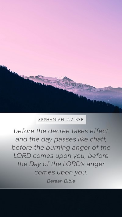 Zephaniah 2:2 BSB Mobile Phone Wallpaper - before the decree takes effect and the day passes - Mobile Bible Verse Wallpaper